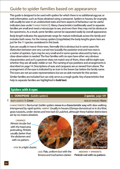 Britain's Spiders - first page of guide to families
