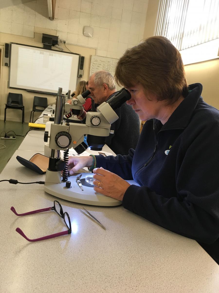 Identifying earthworms