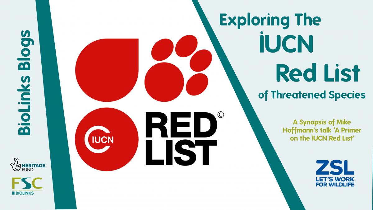Exploring IUCN Red of Threatened Biodiversity Projects