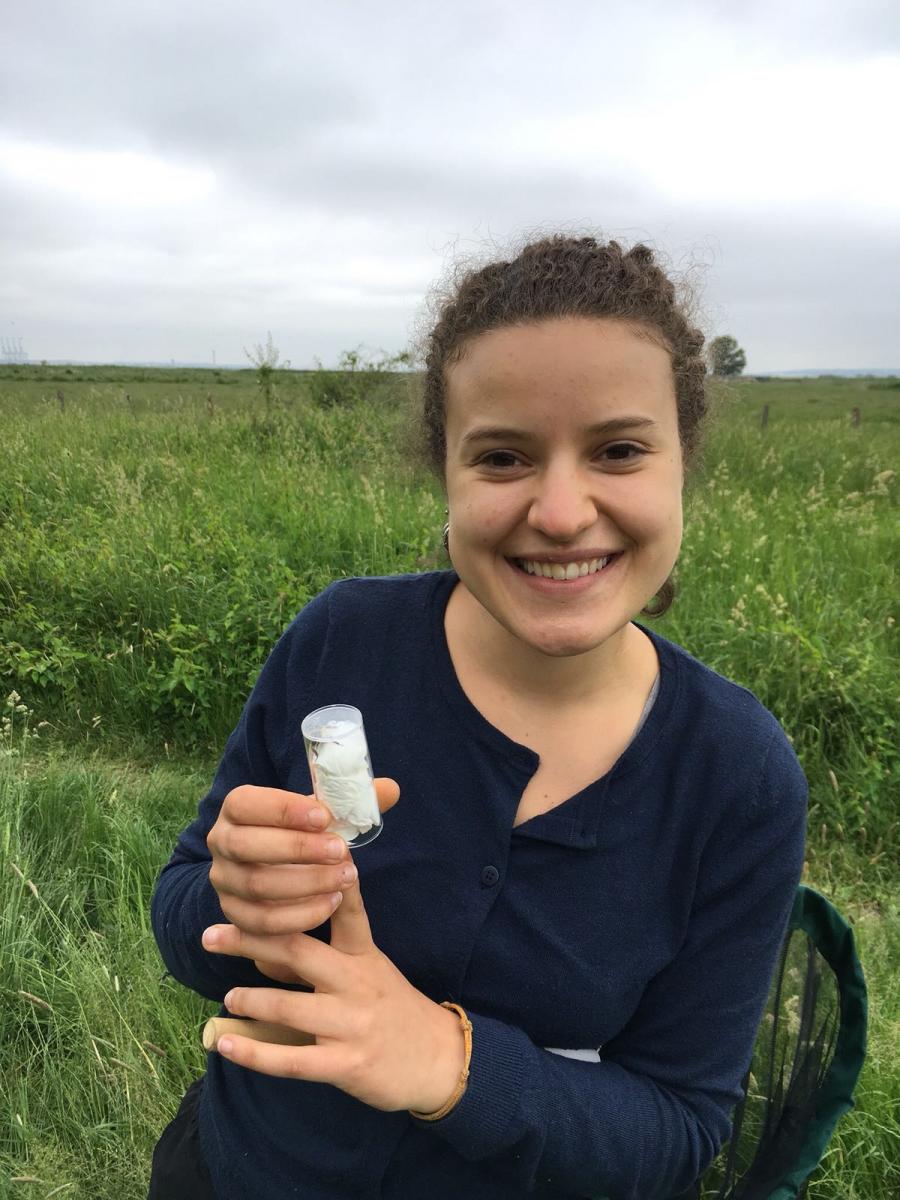 Me on the Northward Hill Survey. Photo (c) Making A Buzz project