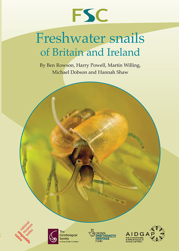 Freshwater snails front cover