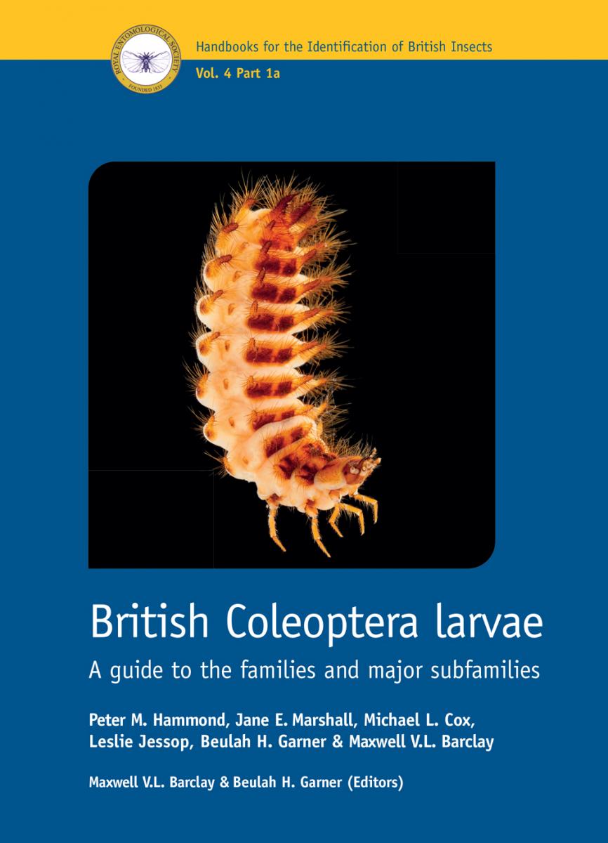 British Coleoptera larva front cover