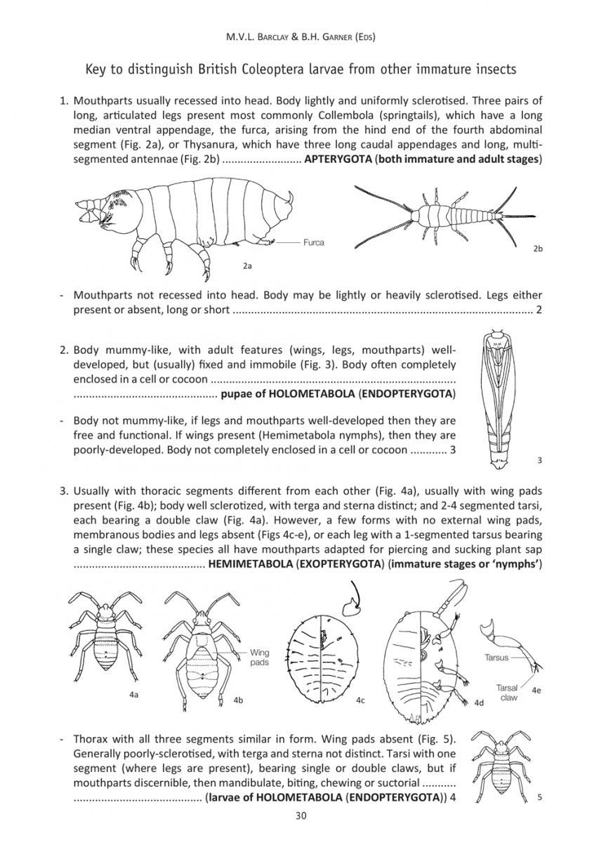 Key 1 first page
