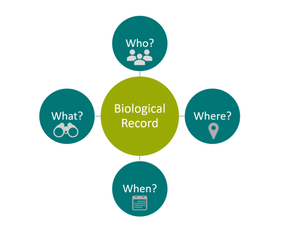 The basics of a biological record