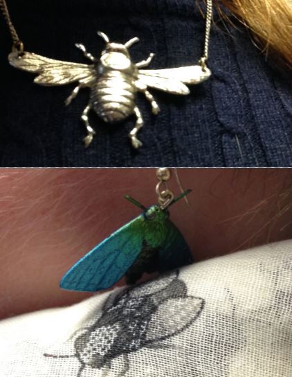 Entomological accessories!