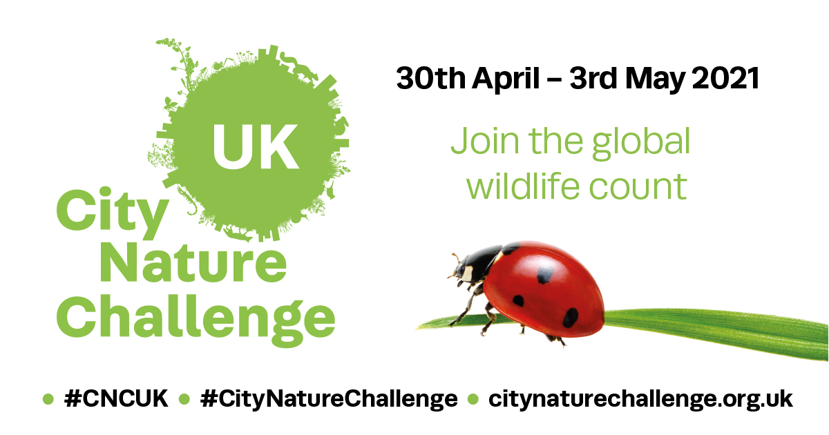 City Nature Challenge 