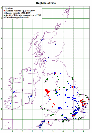 Daphnia obtusa distribution map.  A Chalkley