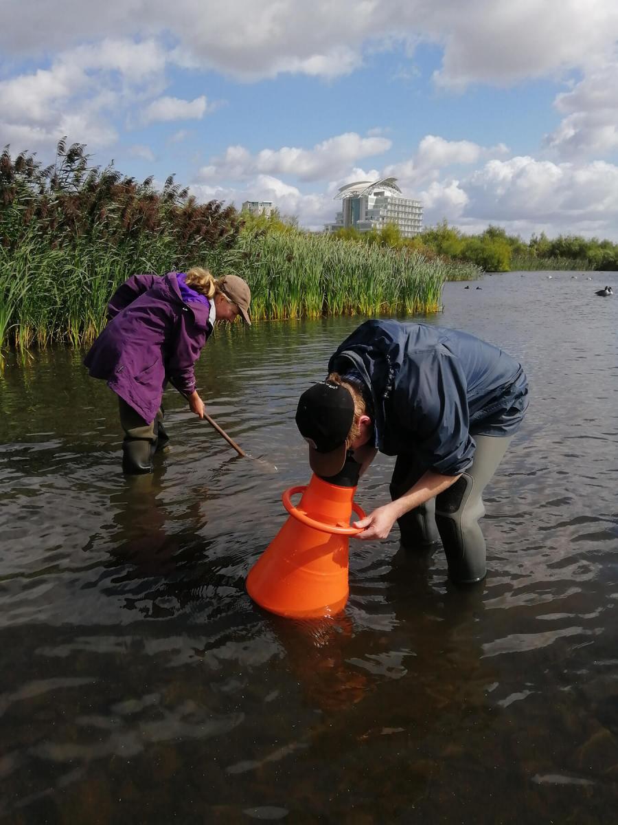 Fieldwork at Cardiff Bay
