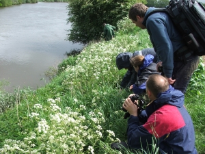 Gomphus training. Photo: Graham French