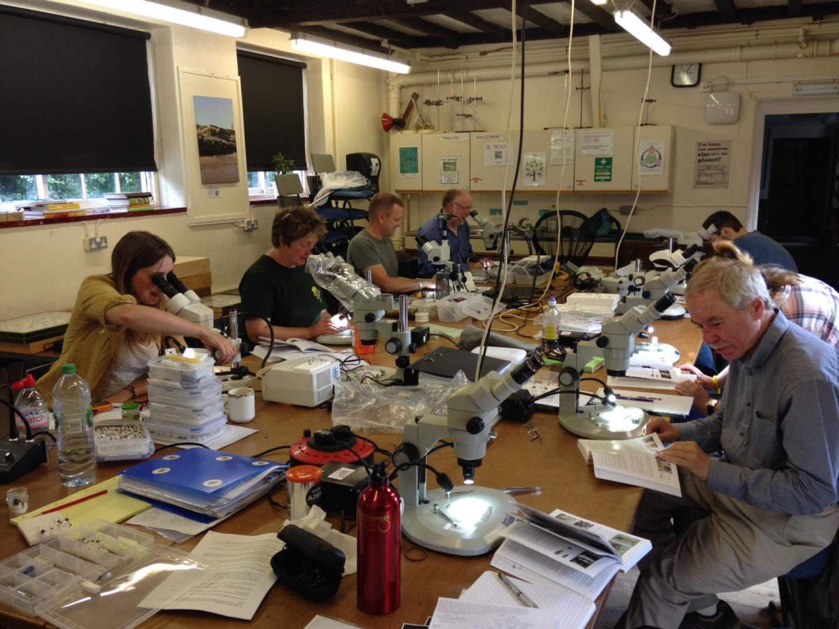 Hard at work in the classroom