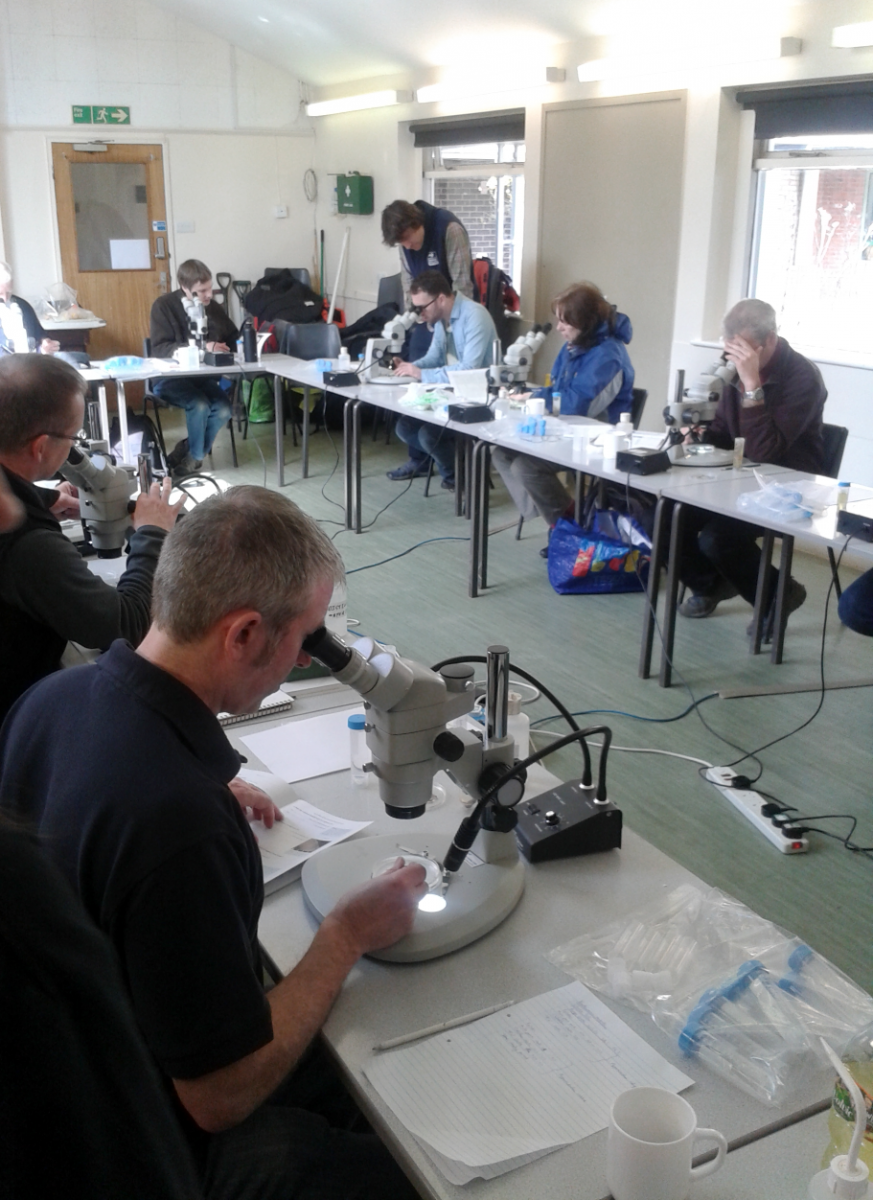 Identification in the classroom. Photo: C.Bell