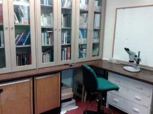 The Invertebrate Challenge room.