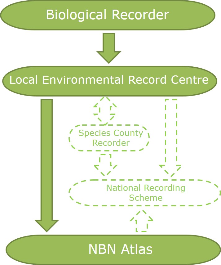 LERC data flow