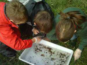 Children sampling invertebrates