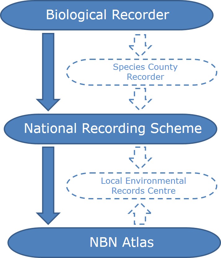 NRS data flow
