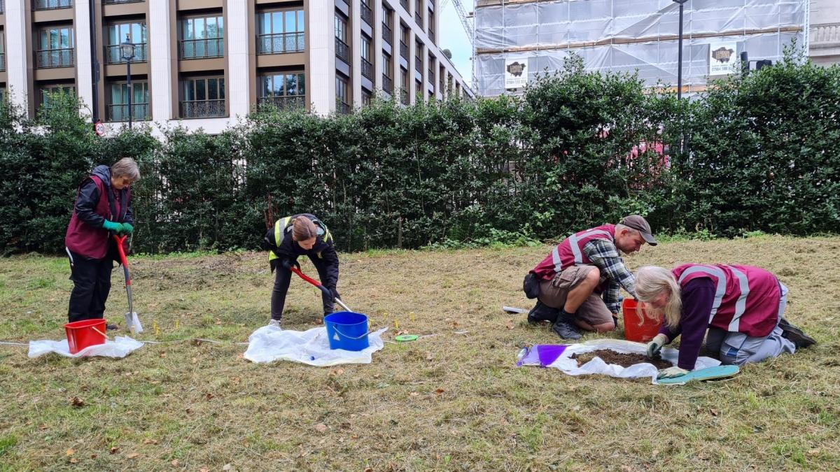 Sampling earthworms in Green Park (c) Dan Asaw CC-BY
