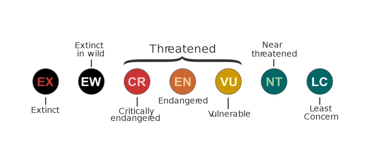 Exploring IUCN Red of Threatened Species | Projects