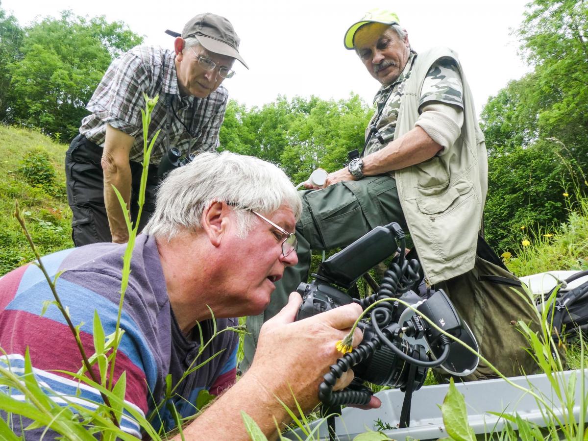 Bob Kemp Photographing a mating pair of Evarcha falcata watched by Shropshire Spider Recorder Nigel Cane-Honeysett, top right