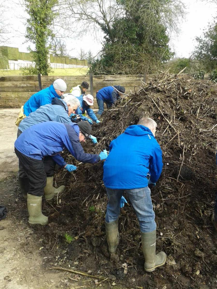 Searching compost heaps for earthworms