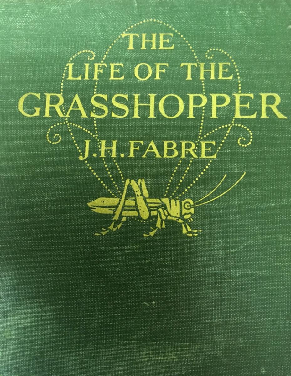 One of the Fabre books