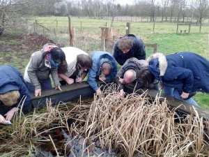 Soil mesofauna course 2015.  Photo: C Bell 