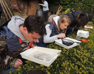Biological sampling.  Photo: K Brown