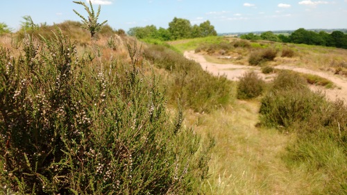 The Cliffe