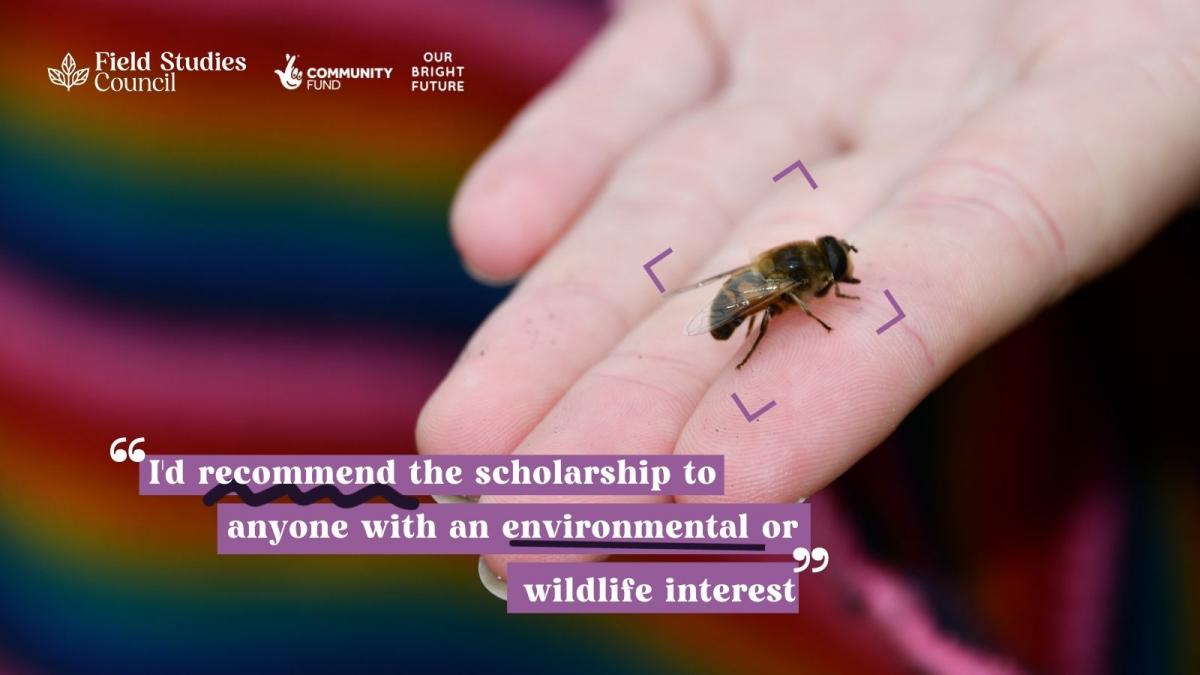Young Darwin holding a hoverfly