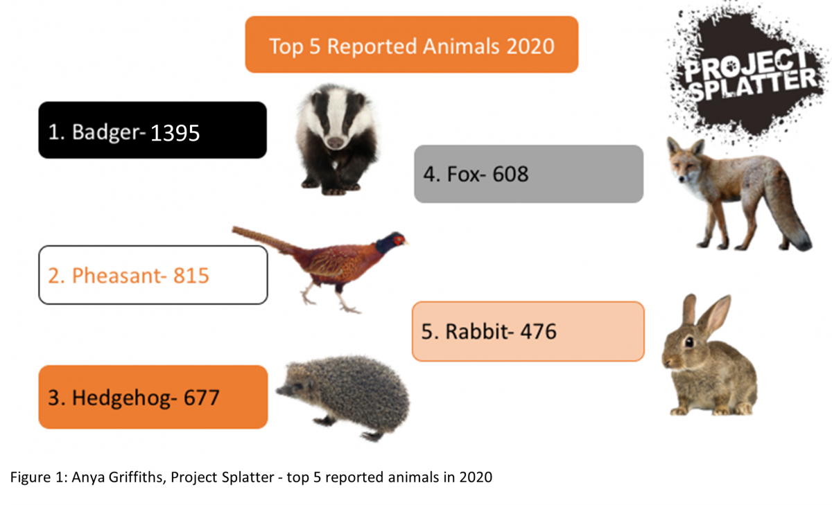 Badger-995, Pheasant-815, Hedgehog- 677, Fox- 608, Rabbit-476