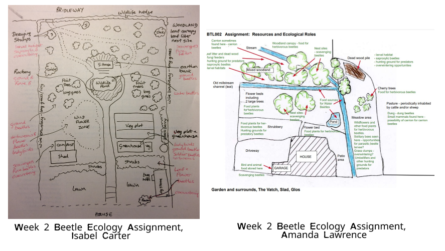 BTL Week 2 assignments 