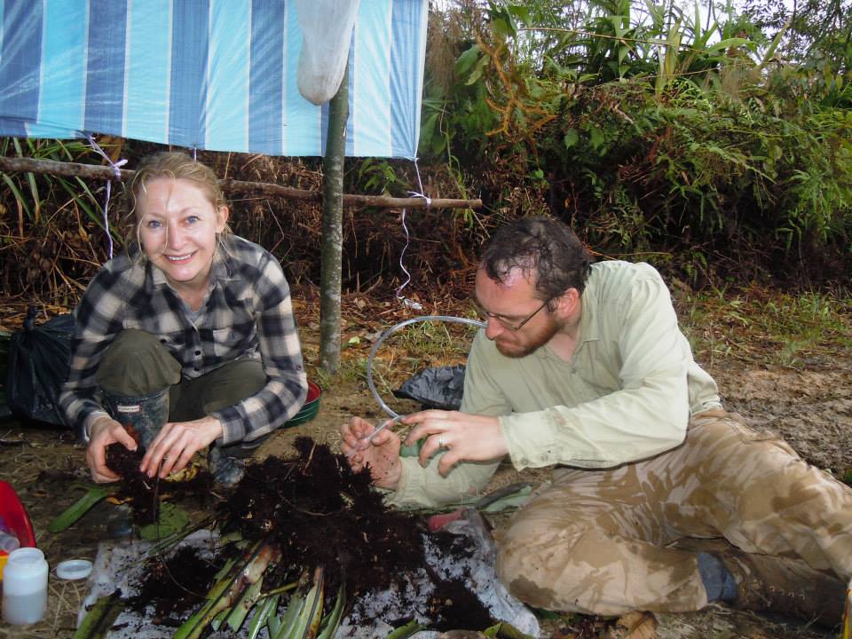 Beulah Garner and Max Barclay sampling for beetle larvae