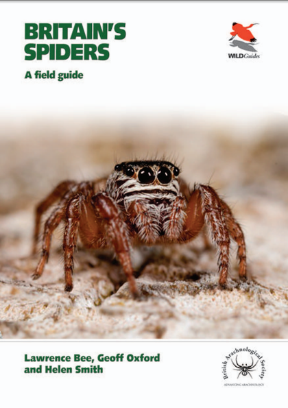 Britain's Spiders - cover