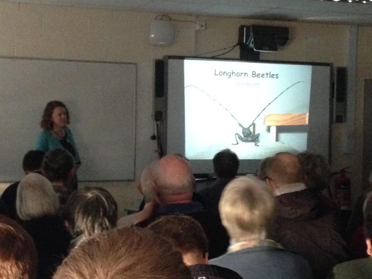 Caroline starting her longhorn presentation
