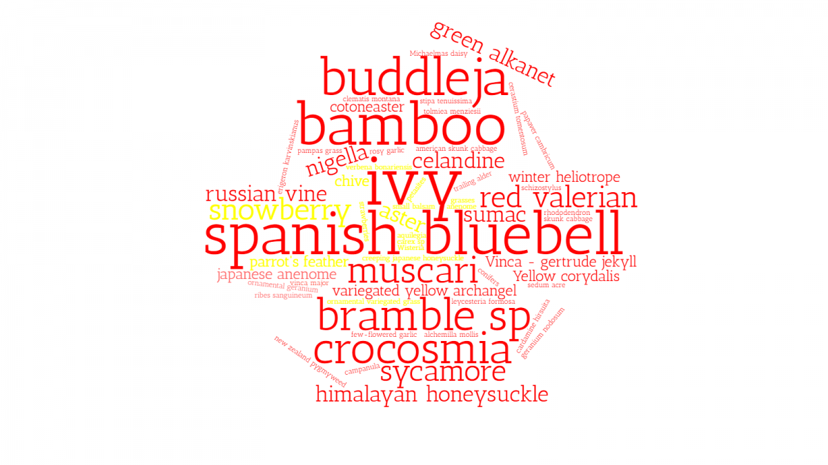 Audience generated wordcloud of invasive species