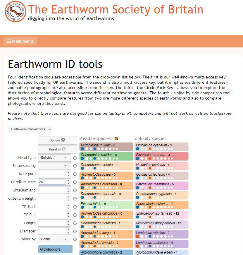 Earthworm.  Illustration: C Bell