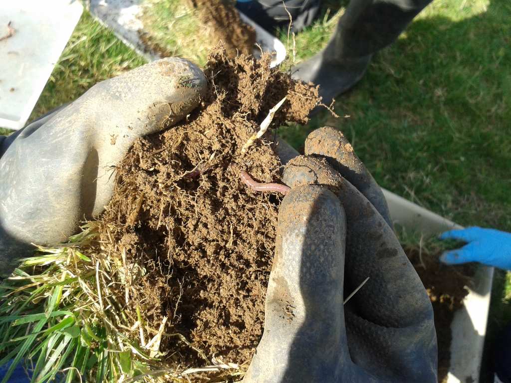 Earthworm! Photo: C.Bell
