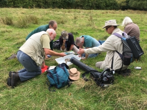 Shropshire entomologists
