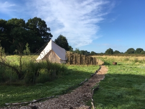 Glamping site at Knepp