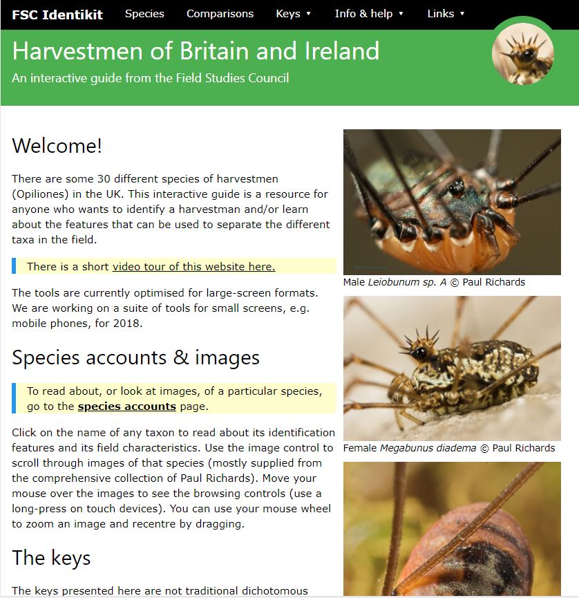 FSC Identikit harvestman ID resource