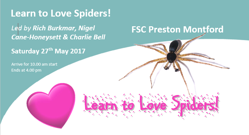 Learn to Love Spiders