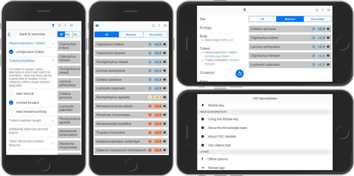 Screenshots of Identikit's mobile-first interface Screenshots of Identikit's mobile-first interface