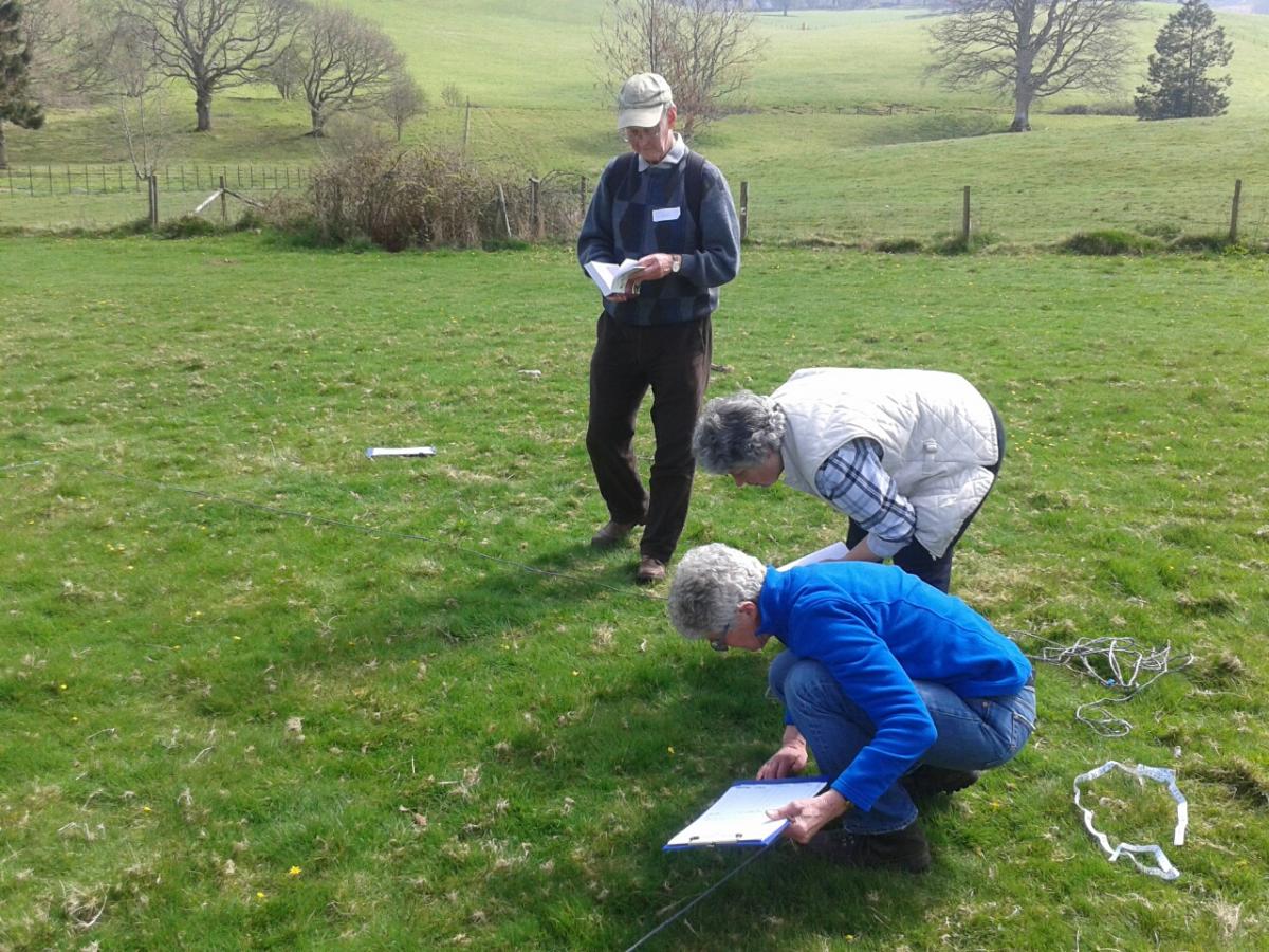 Setting up a square plot.  Photo: C Bell