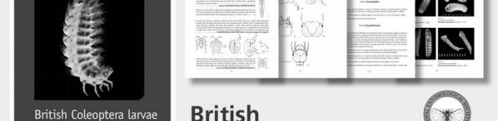 Front cover of RES Handbook to British Coleoptera larva