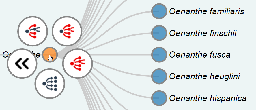 Taxonomy web services visualisation